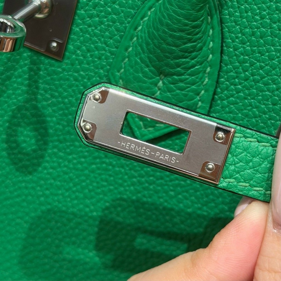 Сумка Hermes Birkin 25 Togo Bambou