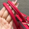 Сумка Hermes Birkin 25 Togo Rose extreme 