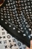 Палантин Louis Vuitton