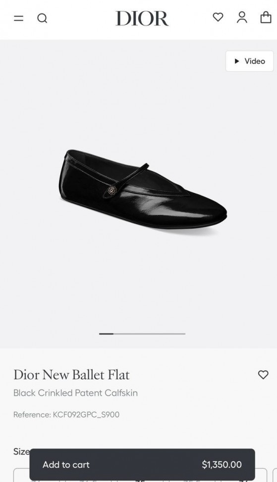 Балетки Dior New 