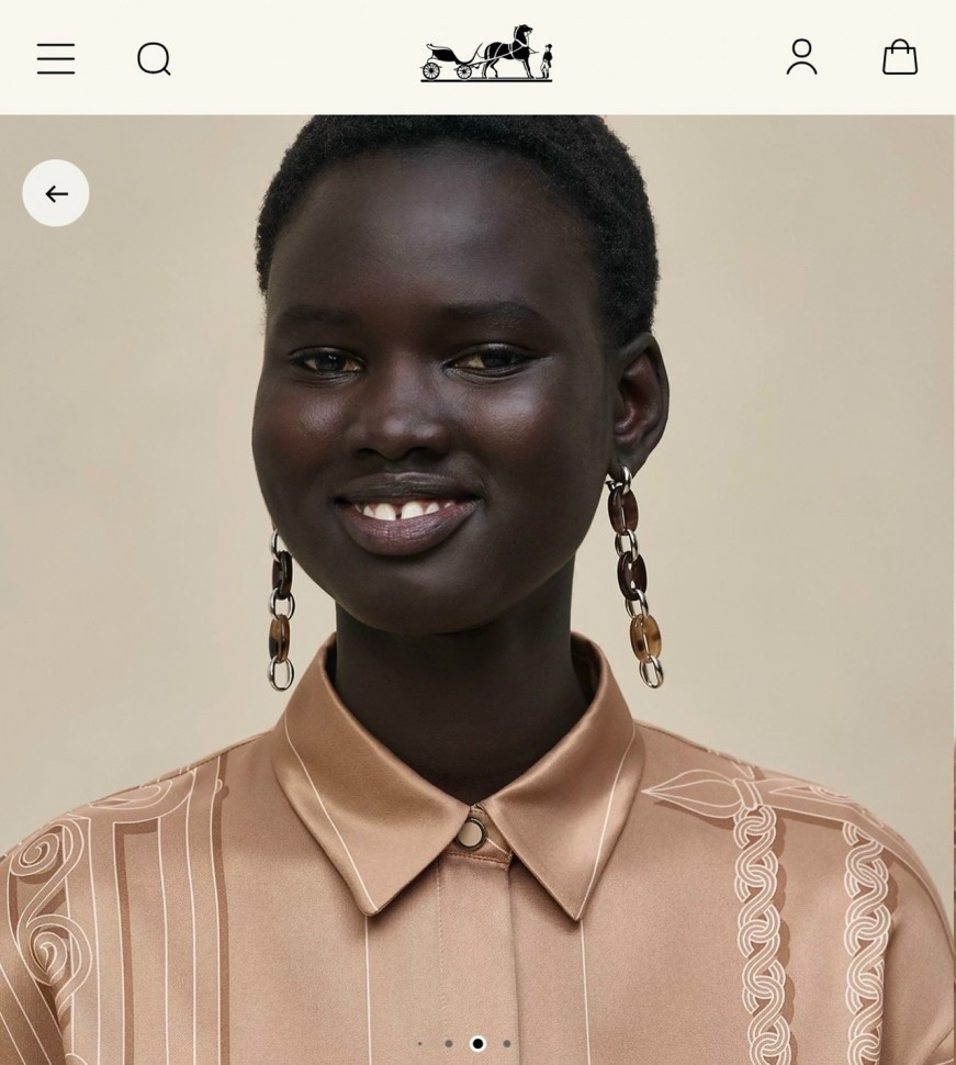 Блуза Hermes