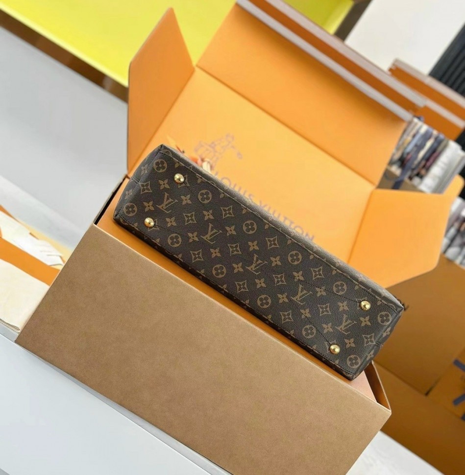 Сумка Louis Vuitton Again   