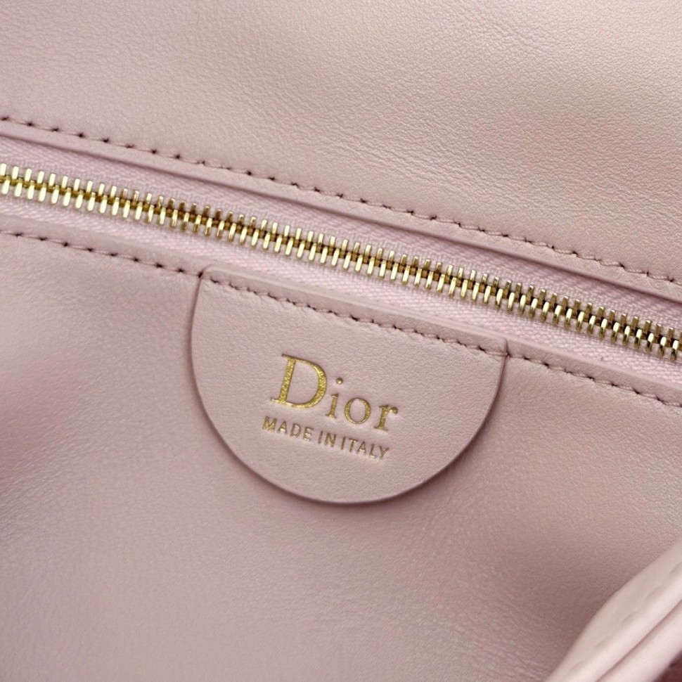 Сумка Small Dior Toujours Hobo bag      