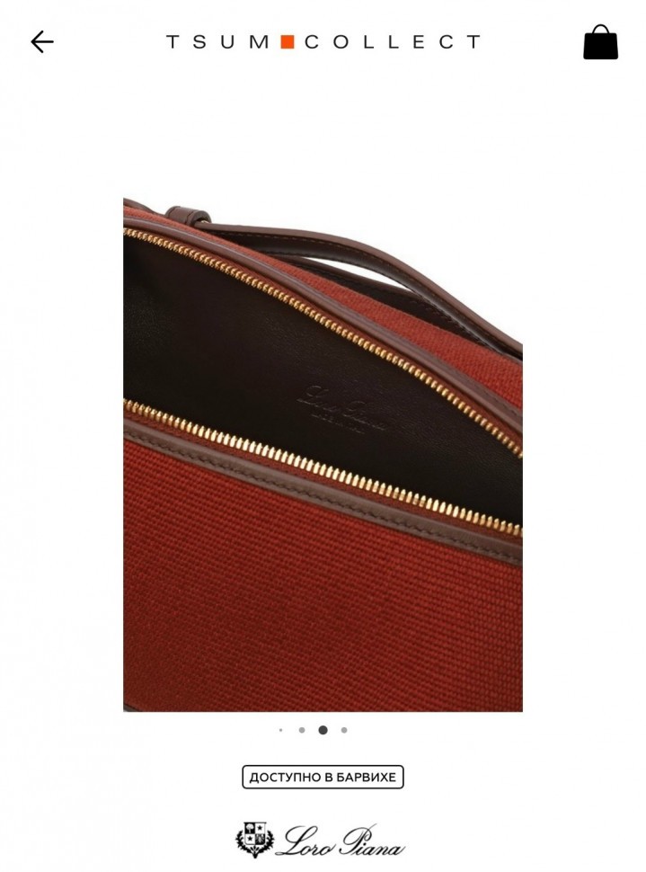 Сумка Loro Piana Extra Bag L19  