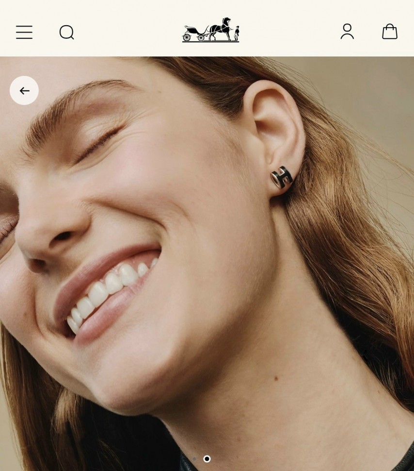 Серьги Hermes