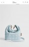 Сумка Small Dior Toujours Hobo bag       