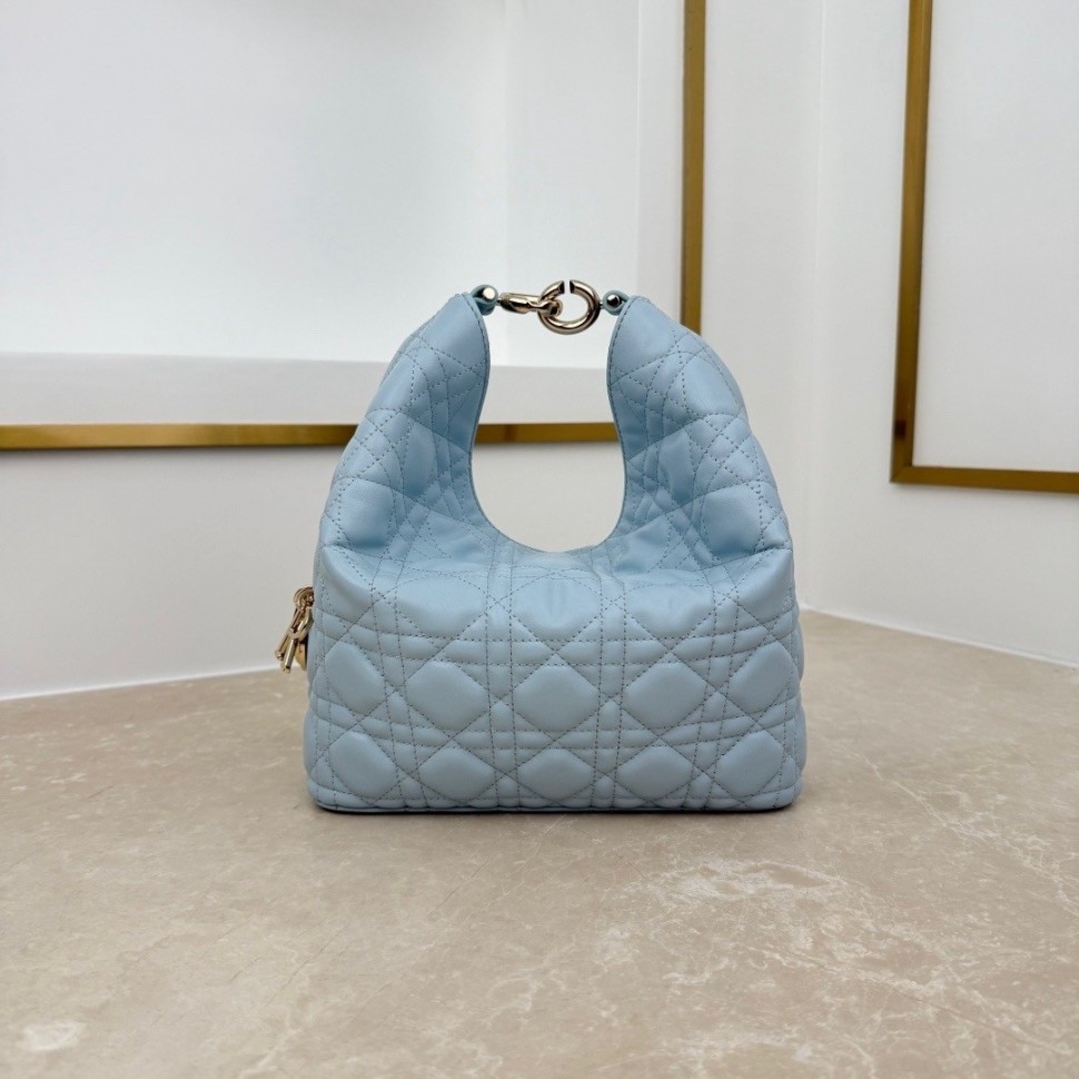Сумка Small Dior Toujours Hobo bag       