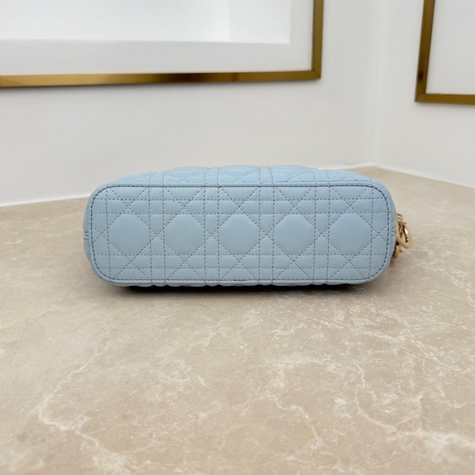Сумка Small Dior Toujours Hobo bag       