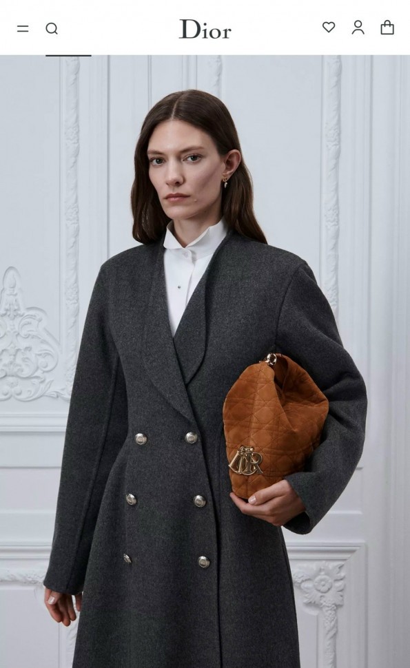 Сумка Small Dior Toujours Hobo bag        